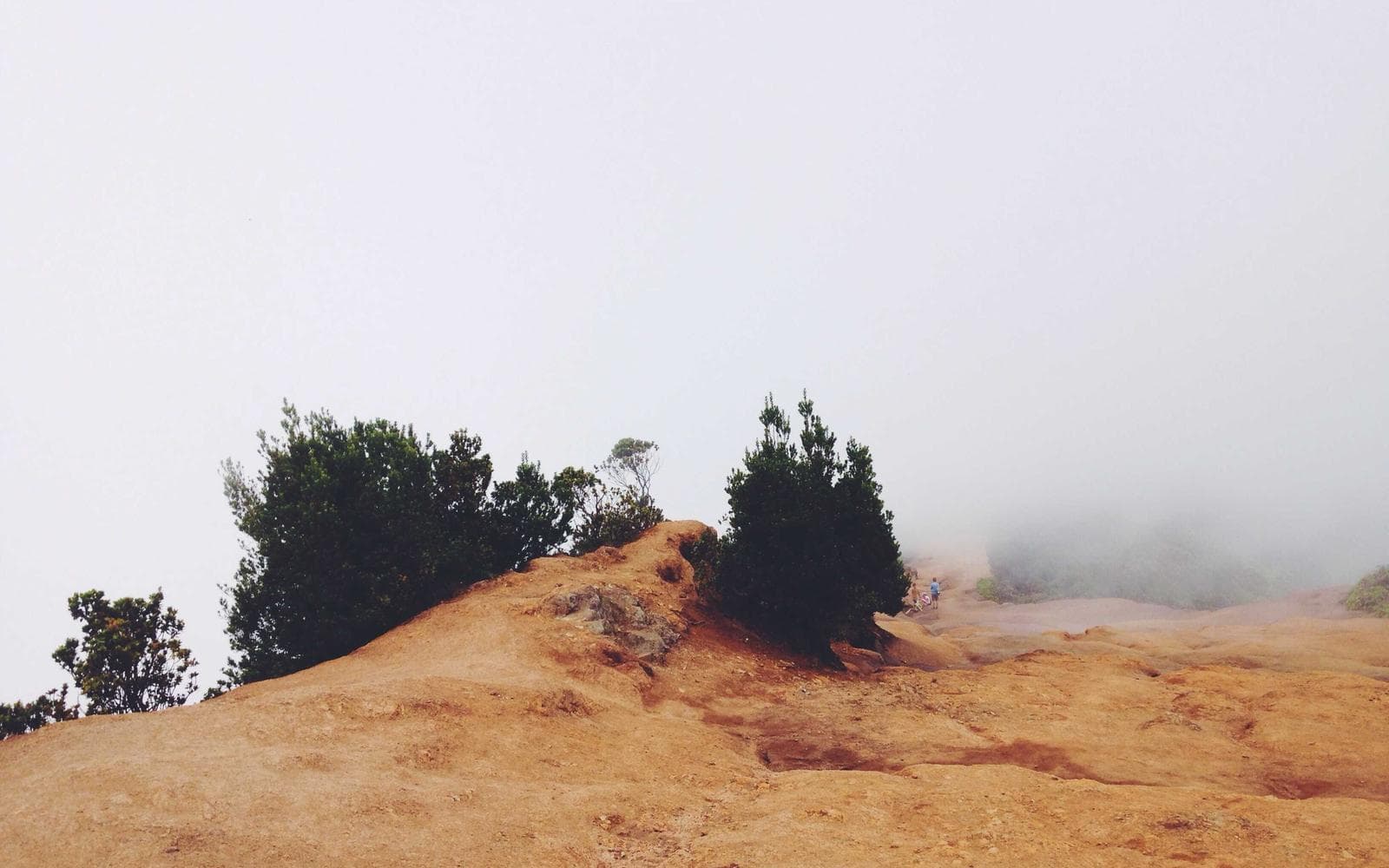 Fieldnote — gallery image 1