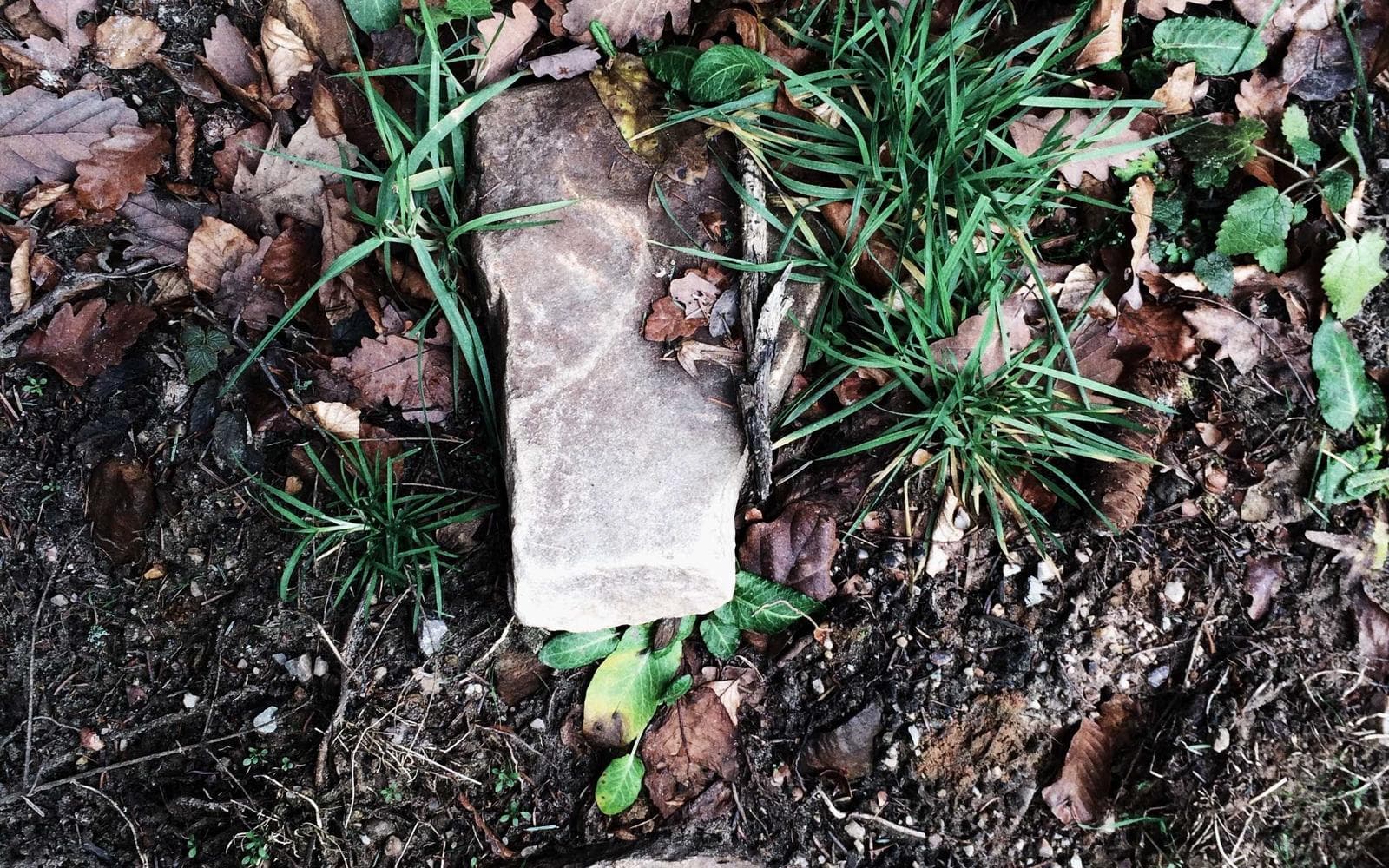 Fieldnote — gallery image 9